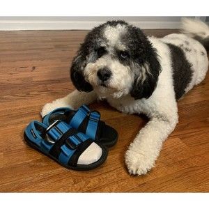 NWT Astral Women's PFD Sport Sandal W’s Water Blue Size 6